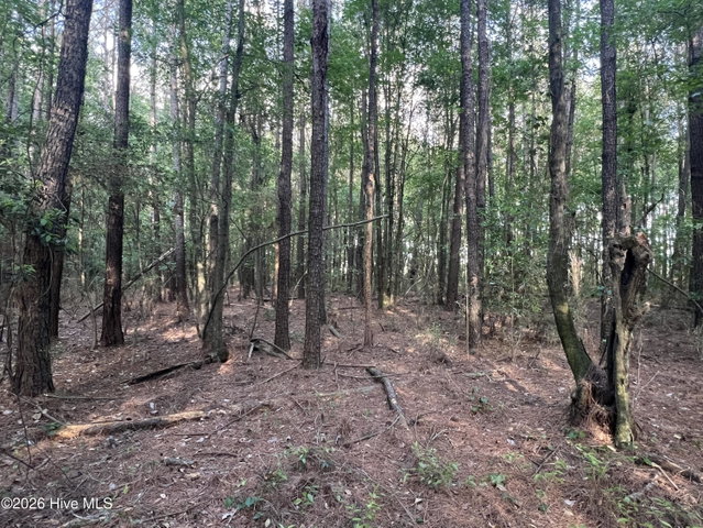 0 Tract 1 Nc 30, Stokes, NC 27884 — photo 12
