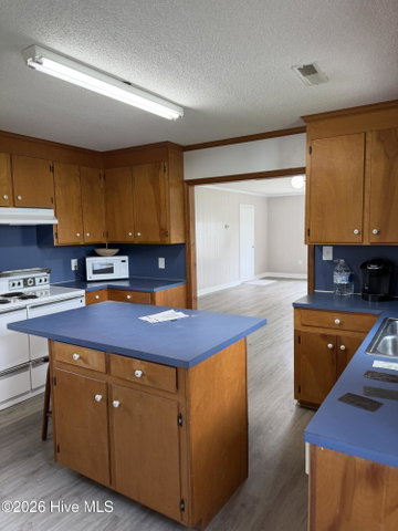 1555 Arthur Corey Road, Williamston, NC 27892 — photo 39