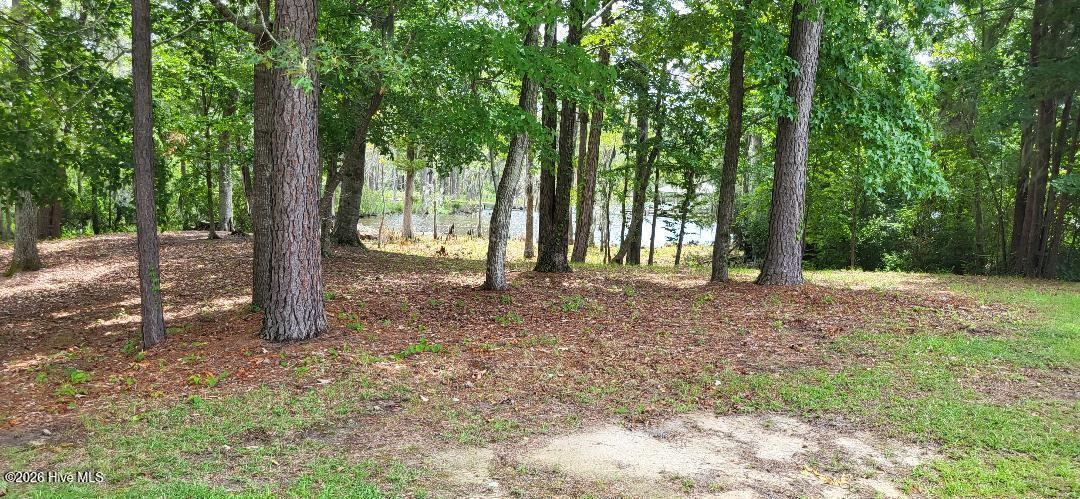 113 S Fork Court, Hertford, NC 27944 — photo 3