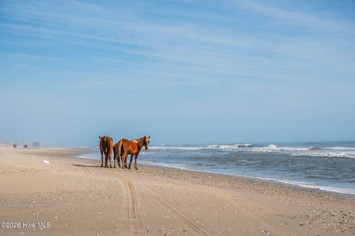 2088 Sandpiper Road, Corolla, NC 27927 — photo 21