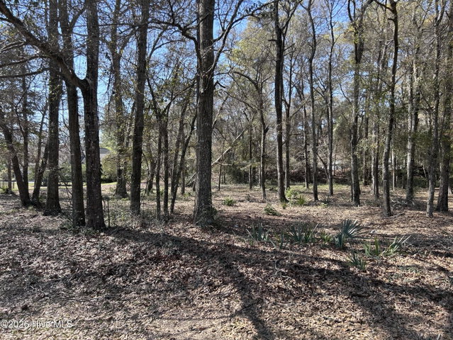 1951 Redfish Run SW image