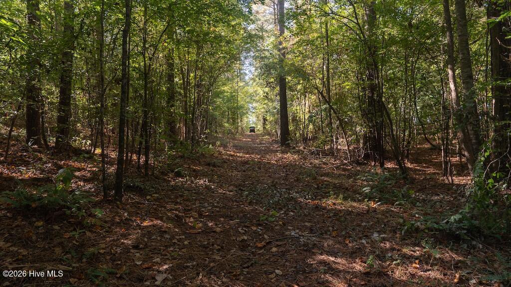 0 Spring Hill Road, Scotland Neck, NC 27874 — photo 3