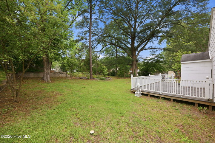 304 Halifax Street, Williamston, NC 27892 — photo 40