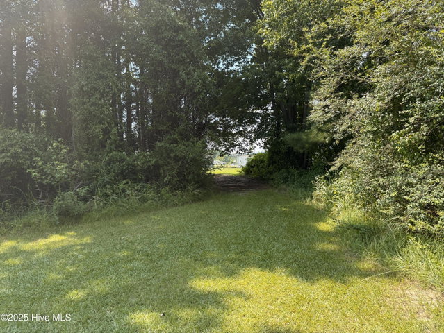 1985 W Main Street, Williamston, NC 27892 — photo 13