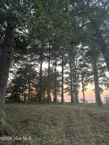 Lot 2 Newberry Landing, Roper, NC 27970 — photo 4