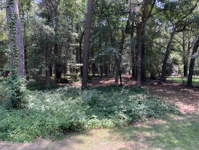 709 Lakeside Drive SE image