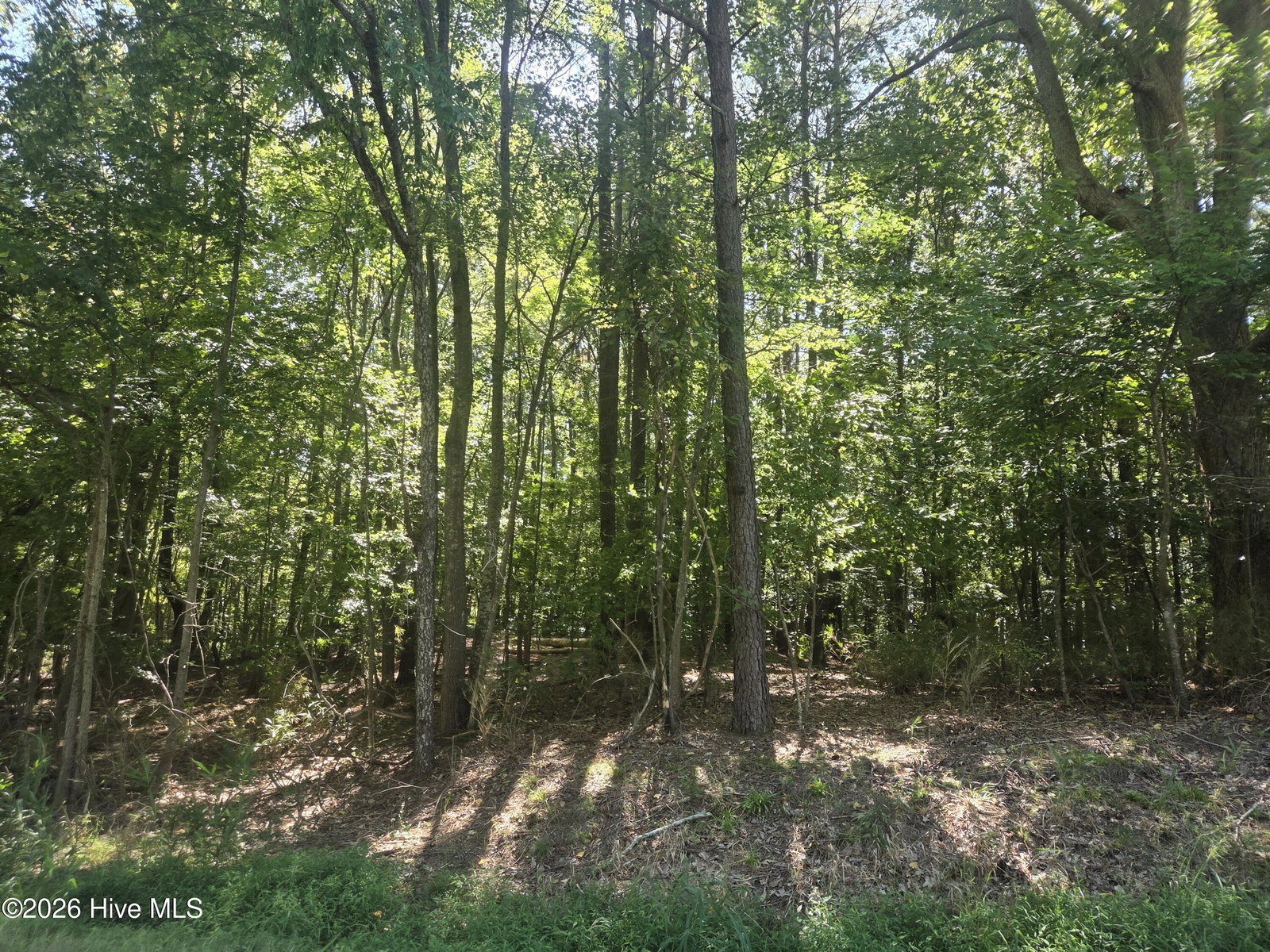 000 Camp Cale Road, Hertford, NC 27944 — photo 3