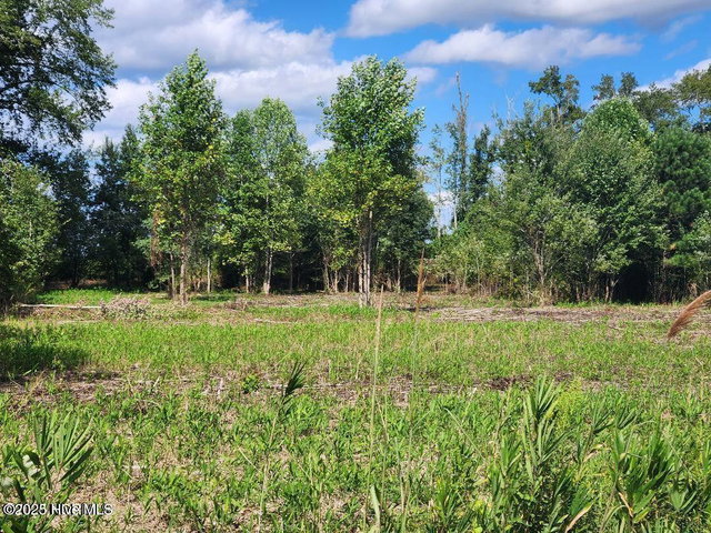 6943 1 Us 264 E, Greenville, NC 27834 — photo 15
