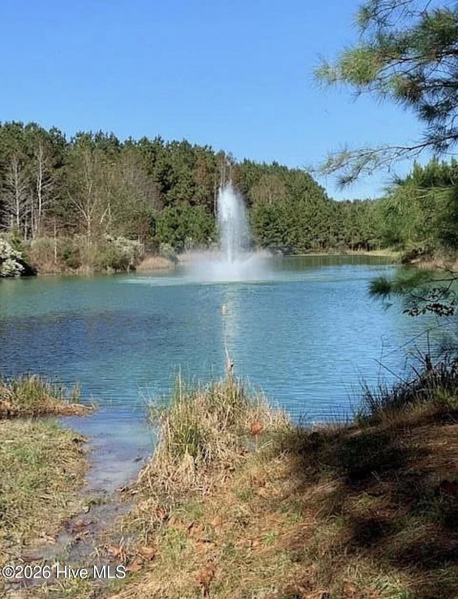 433 Riversound Drive, Edenton, NC 27932 — photo 4
