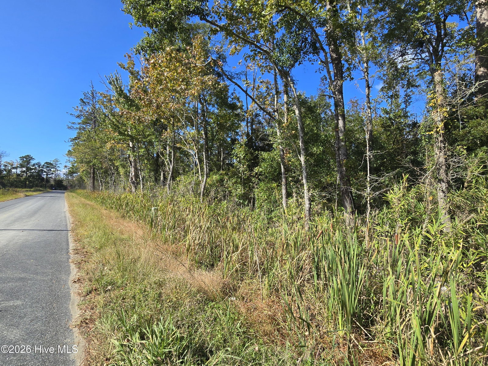 0 Newlands Road, Columbia, NC 27925 — photo 2