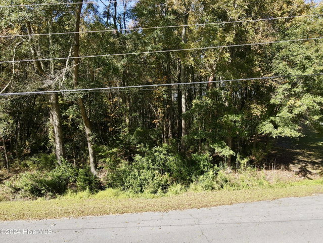 1239 Chance Boulevard, Robersonville, NC 27871 — photo 6