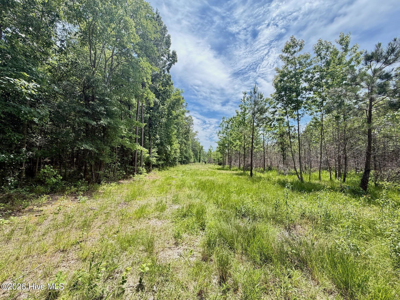 0 Indian Woods Road, Windsor, NC 27983 — photo 5