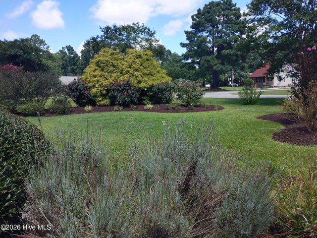 116 Annas Way, Grandy, NC 27939 — photo 2