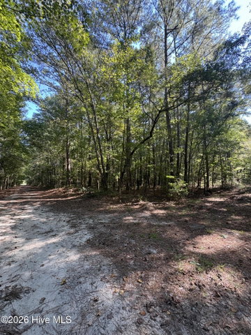 17 Old Tar Road, Winterville, NC 28590 — photo 2