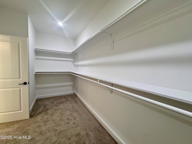 4142 Dixon Road, Grimesland, NC 27837 — photo 31