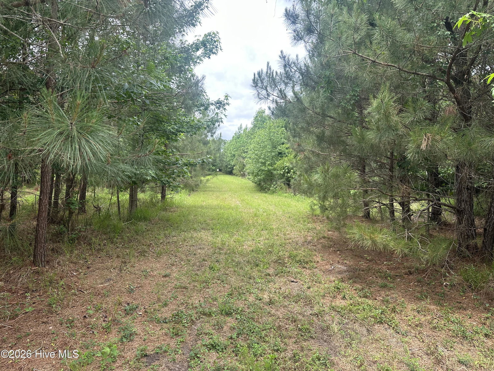 0 Colice Hall Lane, Ahoskie, NC 27910 — photo 3