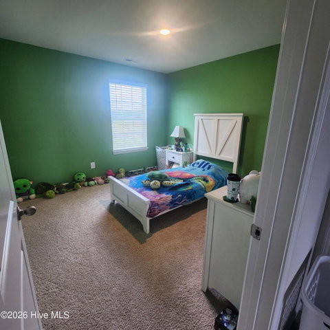 1187 Queensland Lane, Ayden, NC 28513 — photo 12
