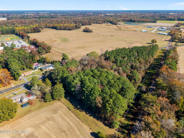 3278 Moye Turnage Road, Farmville, NC 27828 — photo 10
