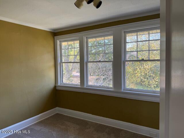 4225 E Church Street, Farmville, NC 27828 — photo 22