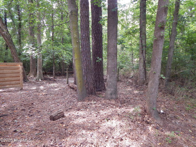 112 Ridge Place, Greenville, NC 27834 — photo 33