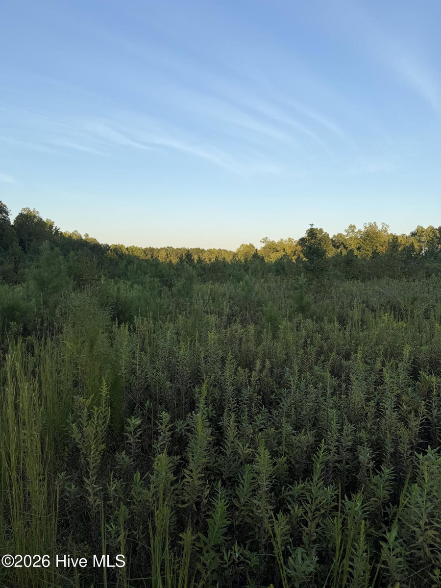 12 Acres Hope Creek Trail, Spring Hope, NC 27882 — photo 2