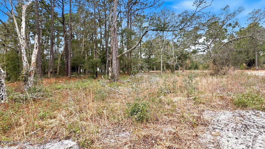 109 82 Yaupon Dr Exd image