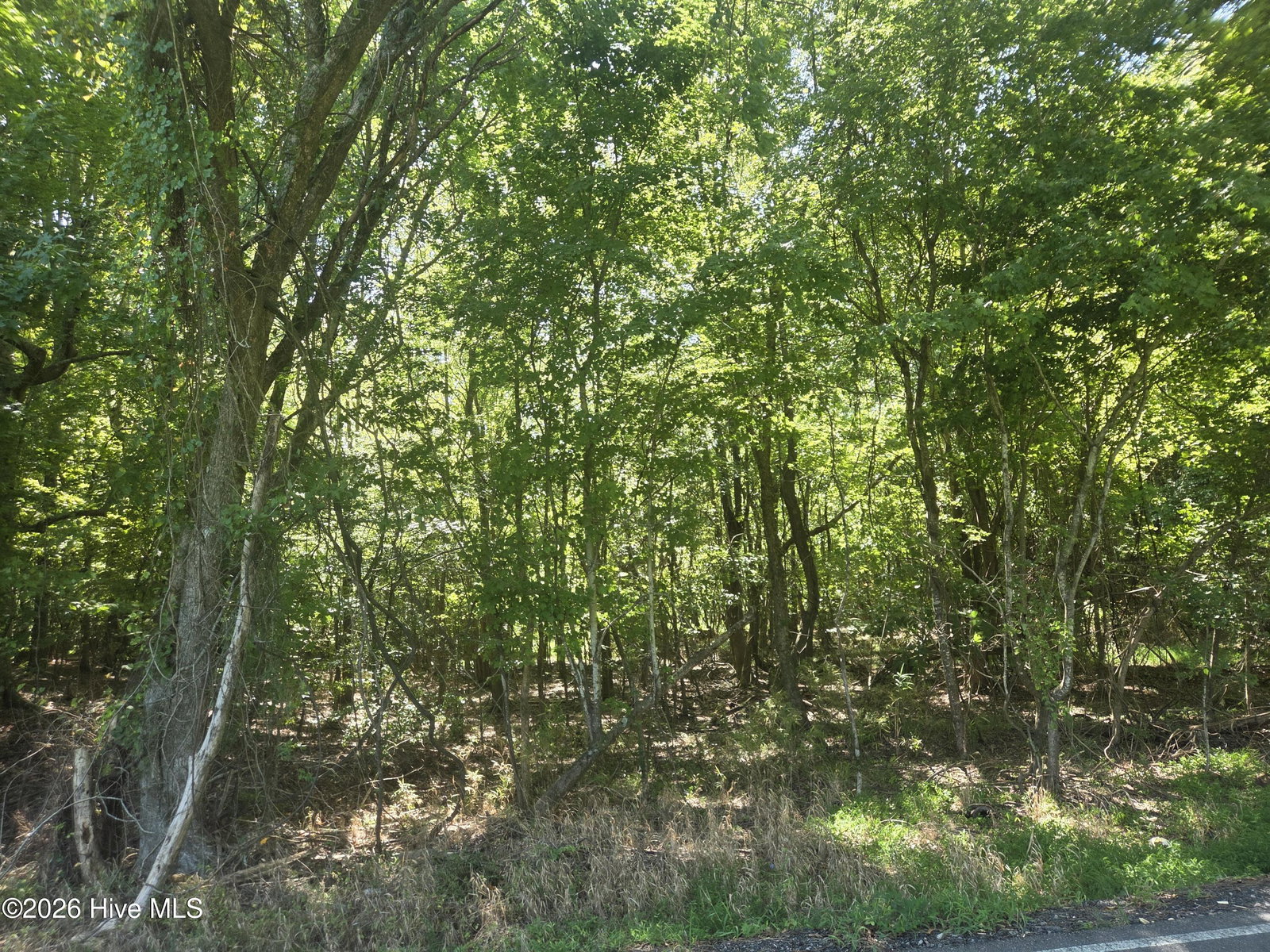 000 Camp Cale Road, Hertford, NC 27944 — photo 5