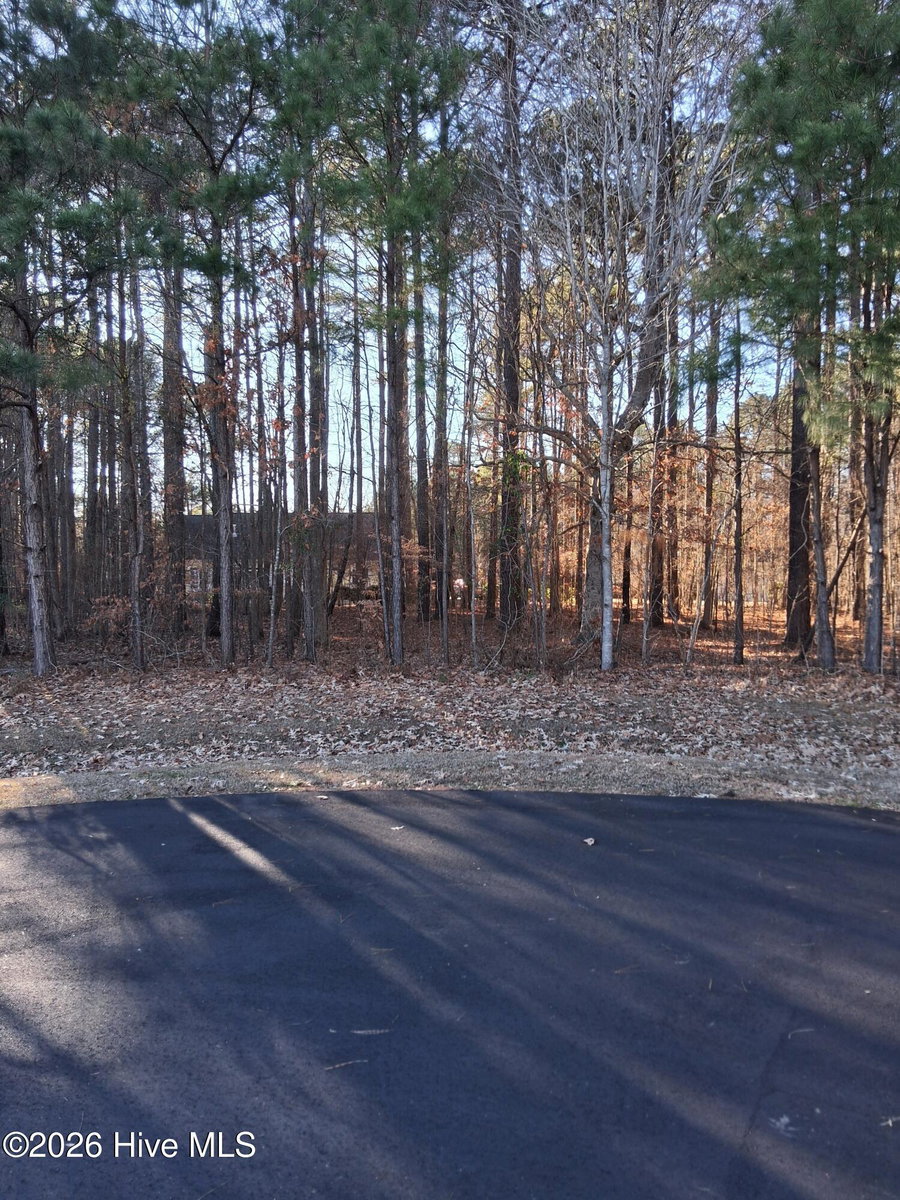 14 GG-14 Newbegun Creek Court, Hertford, NC 27944 — photo 2