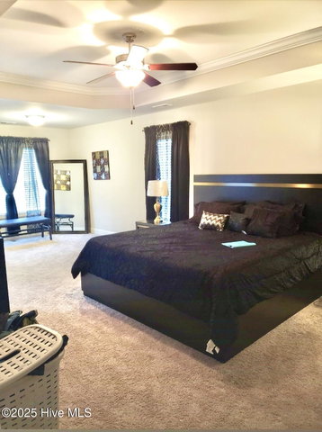 521 Flip Flop Lane, Grimesland, NC 27837 — photo 9
