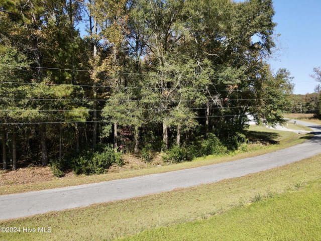 1239 Chance Boulevard, Robersonville, NC 27871 — photo 8