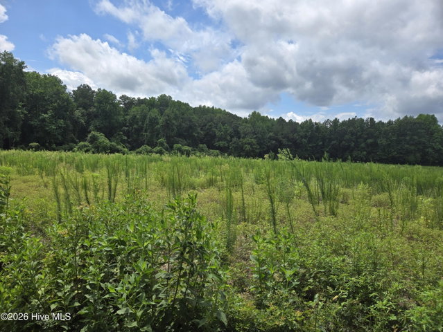 0 Ballard Road, Williamston, NC 27892 — photo 15
