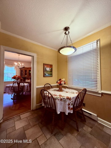 903 E Woodlawn Drive, Williamston, NC 27892 — photo 32