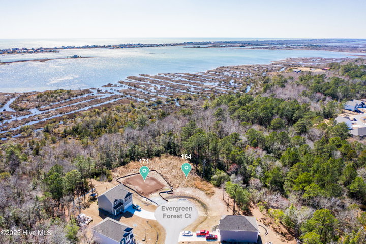 171 193 Evergreen Forest Court image