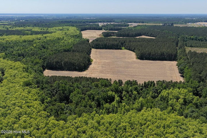 0 Kirkman Road, Robersonville, NC 27871 — photo 29