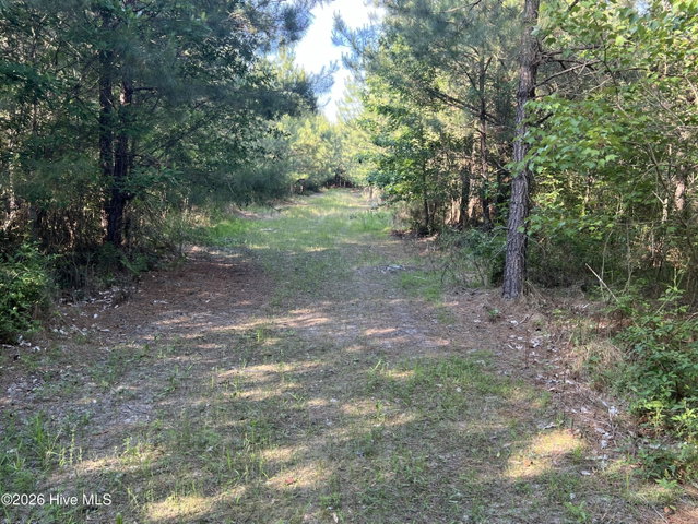 2364 Nc 102 E, Ayden, NC 28513 — photo 26