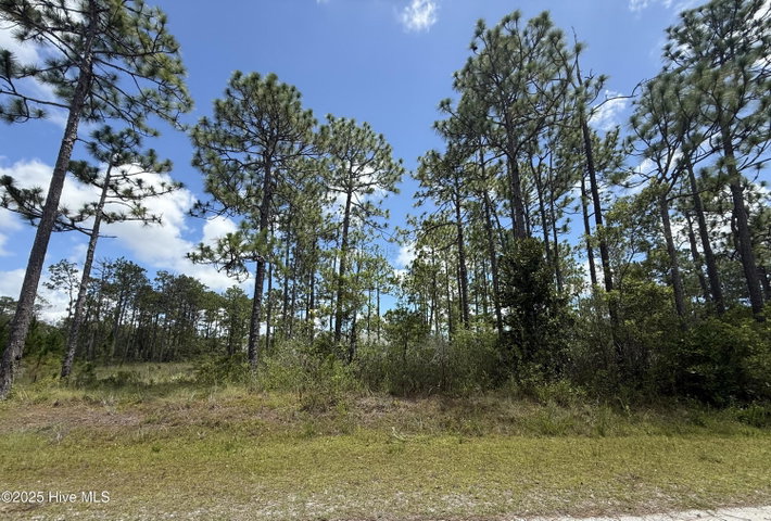 407 Sunset Road image