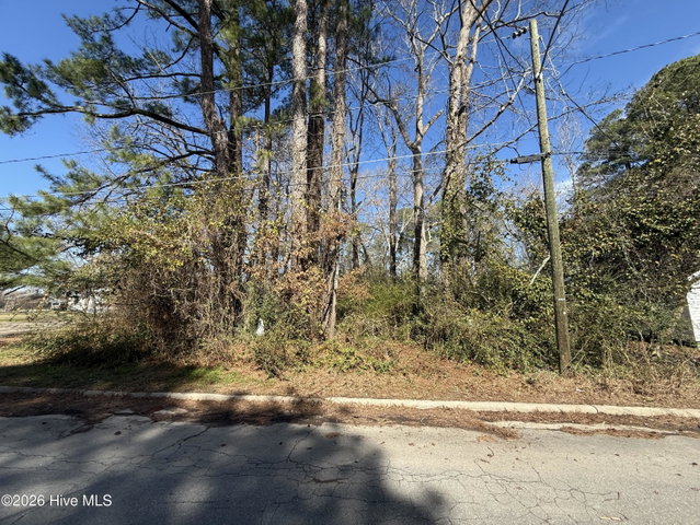 1041 Water Street, Jamesville, NC 27846 — photo 2