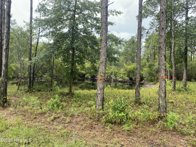 120 Dixon Road image