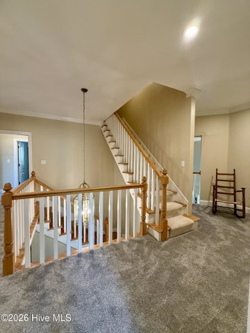 1285 Bear Grass Road, Williamston, NC 27892 — photo 101