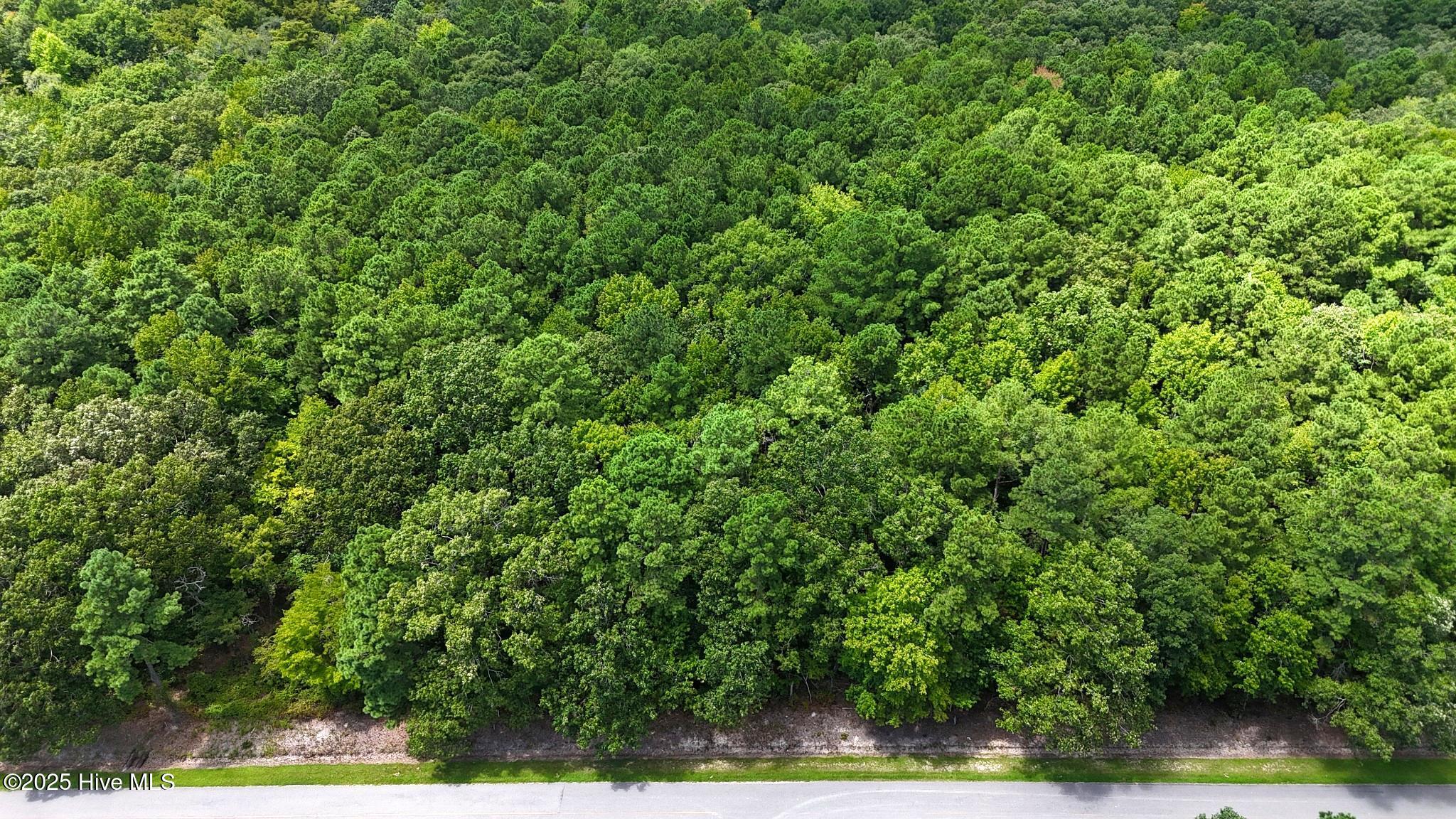 Tbd 3 Boat Ramp Road, New Hope, NC 27944 — main photo