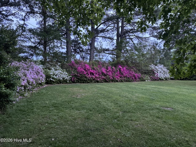 4105 Sterling Trace Drive, Winterville, NC 28590 — photo 44