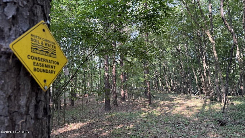 0 Kirkman Road, Robersonville, NC 27871 — photo 30