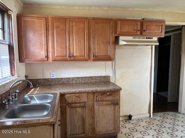 3616 Williams Street, Farmville, NC 27828 — photo 8