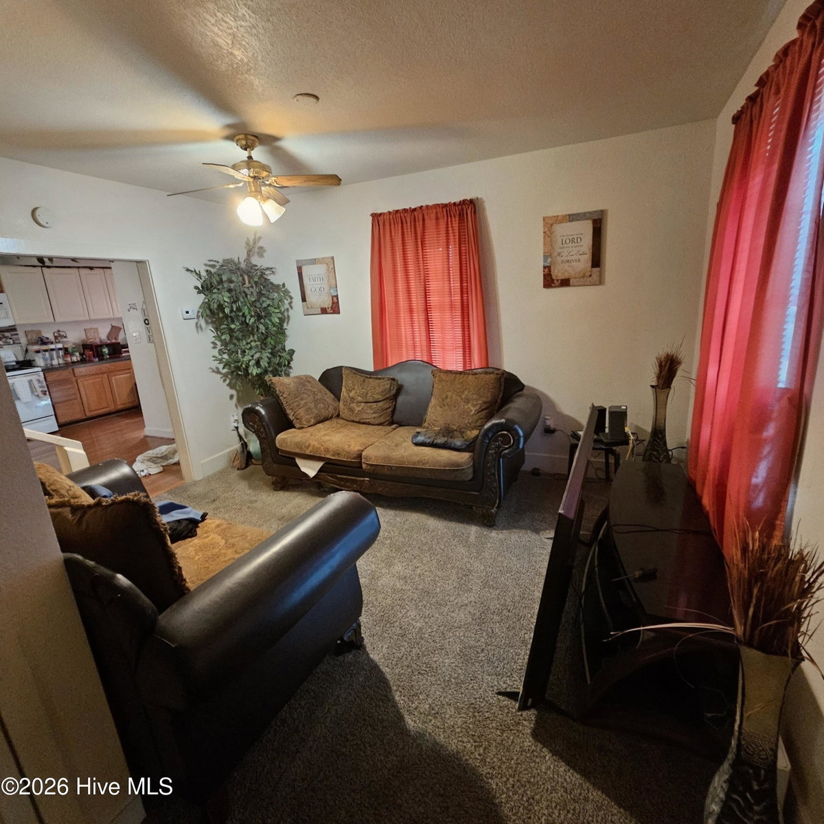805 Park Street, Elizabeth City, NC 27909 — photo 3