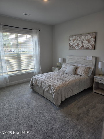 194 Poker House Road, Grimesland, NC 27837 — photo 14
