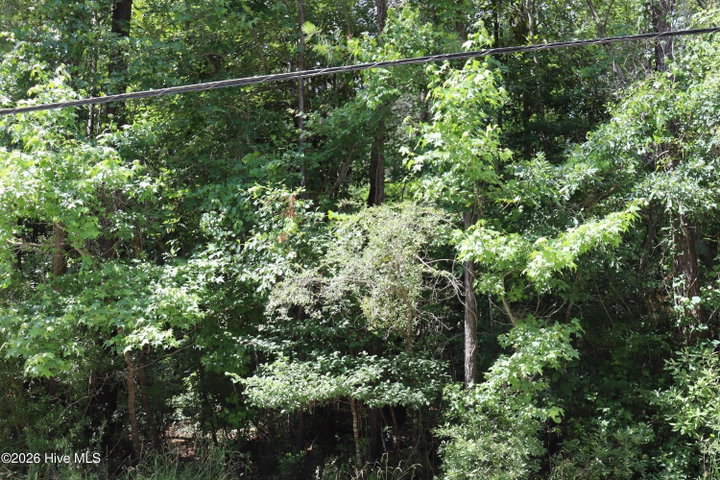 234 Creekwood Road image