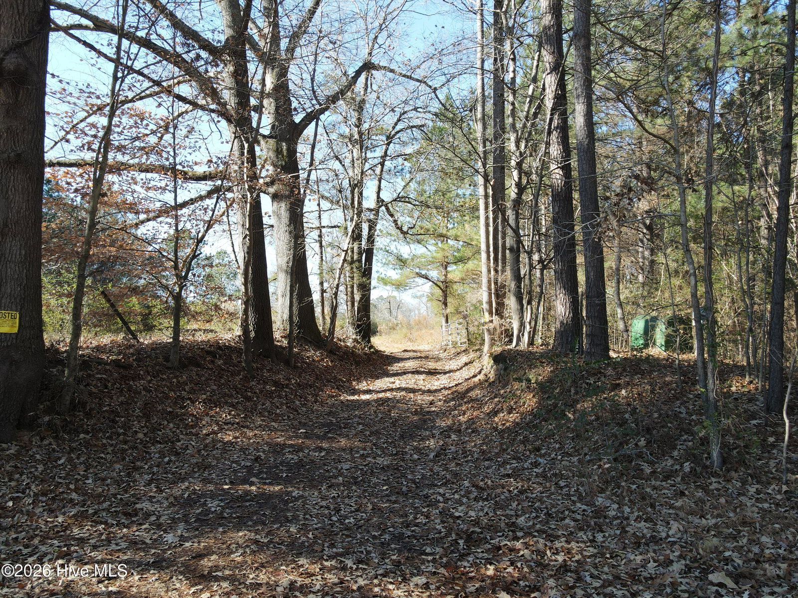 00 Sykes Road, Nashville, NC 27856 — photo 2