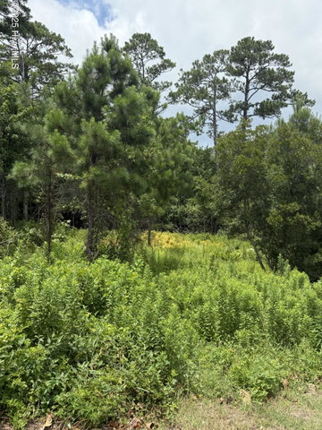 1015 Meridian Drive image