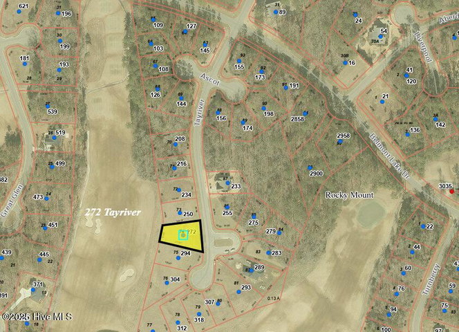 272 Tayriver, Rocky Mount, NC 27804