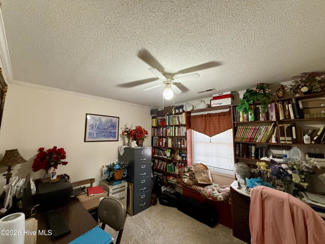 454 Beech Bay Road, Roper, NC 27970 — photo 18